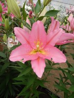 [4224 Vendome No102.JPG]